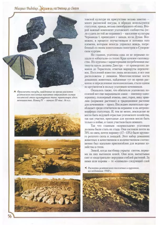 Михаил Видейко - Украина. От Триполья до Антов - Страница № 58