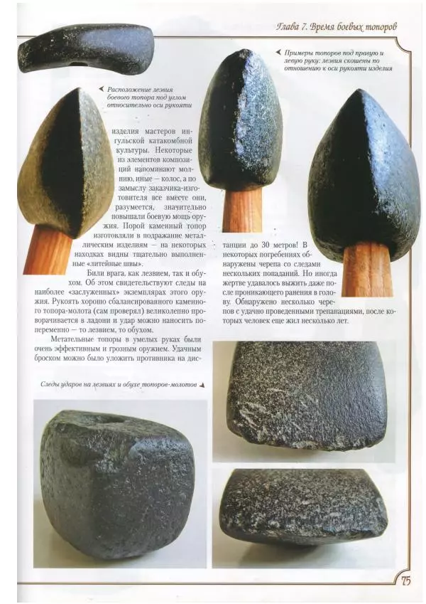 Михаил Видейко - Украина. От Триполья до Антов - Страница № 77