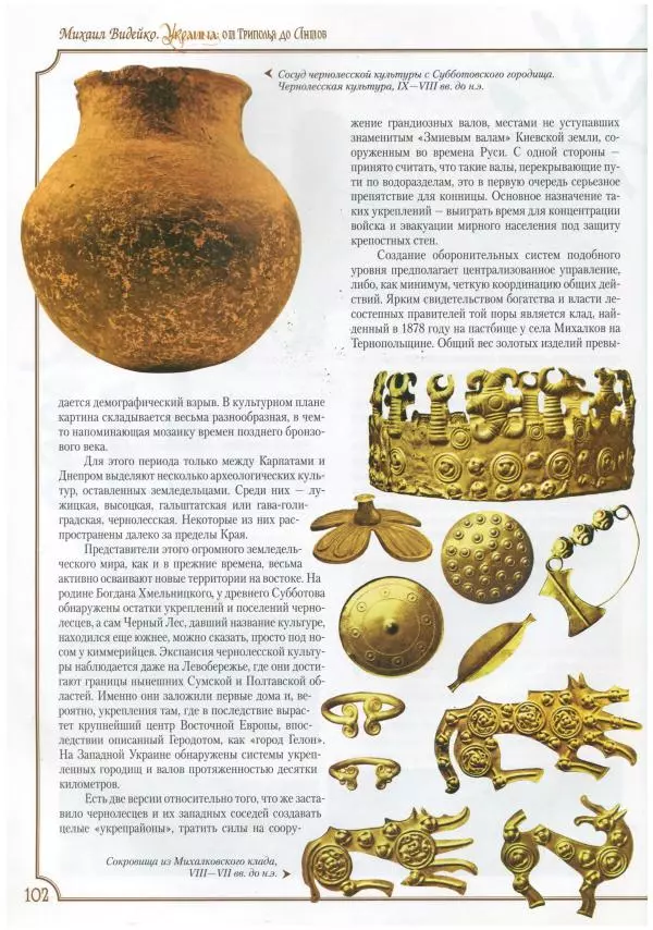 Михаил Видейко - Украина. От Триполья до Антов - Страница № 104