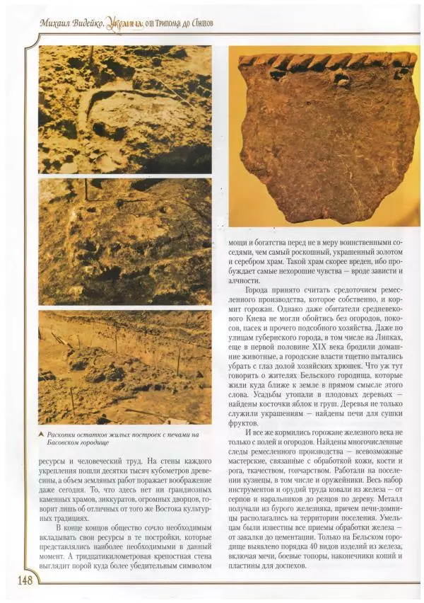 Михаил Видейко - Украина. От Триполья до Антов - Страница № 150