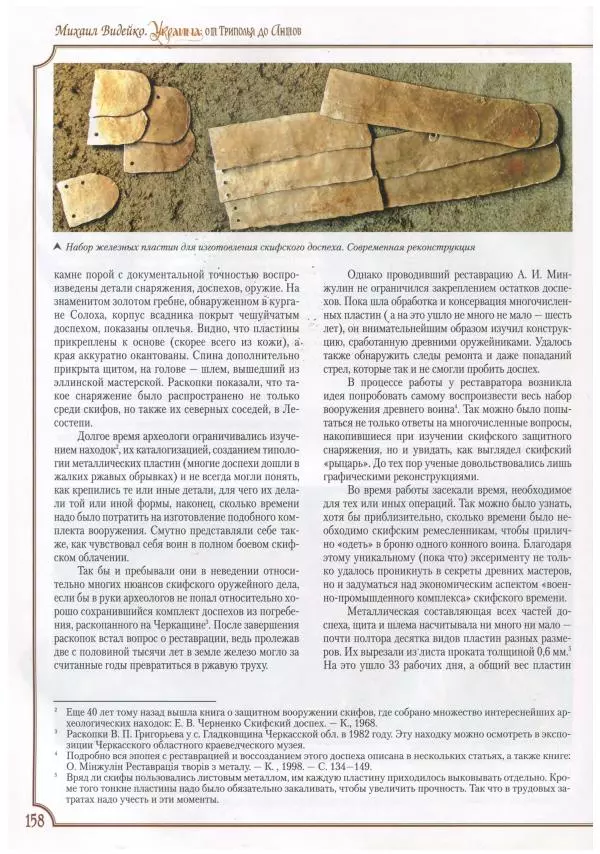 Михаил Видейко - Украина. От Триполья до Антов - Страница № 160