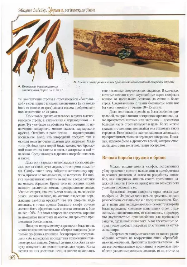 Михаил Видейко - Украина. От Триполья до Антов - Страница № 164