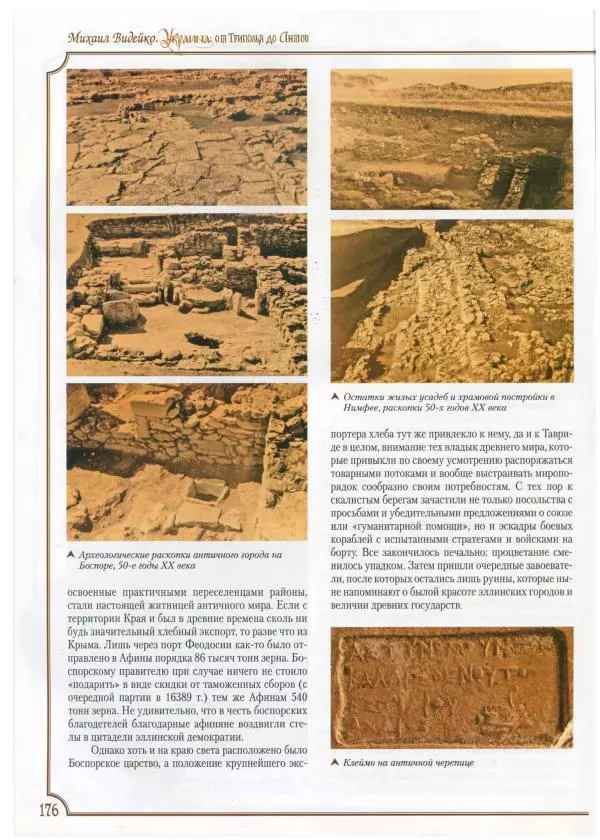 Михаил Видейко - Украина. От Триполья до Антов - Страница № 178
