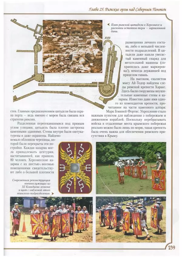 Михаил Видейко - Украина. От Триполья до Антов - Страница № 241