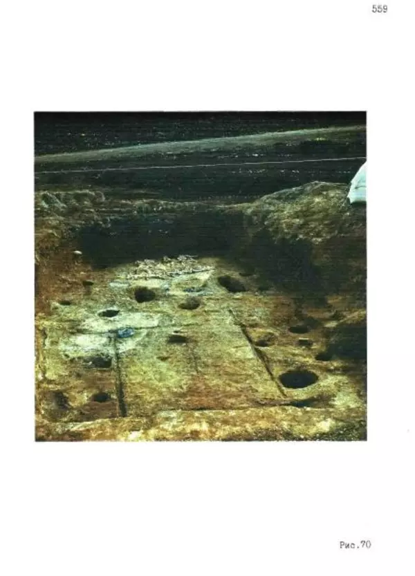 Владимир Эрлих - Северо-Западный Кавказ в начале железного века - Страница № 560