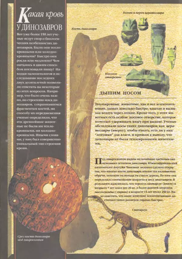 Дэвид Анвин - Динозавры - Страница № 10