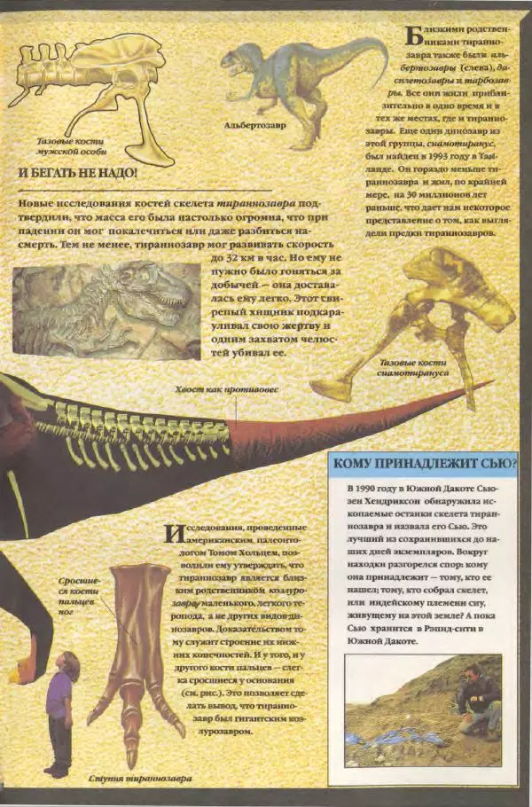 Дэвид Анвин - Динозавры - Страница № 19