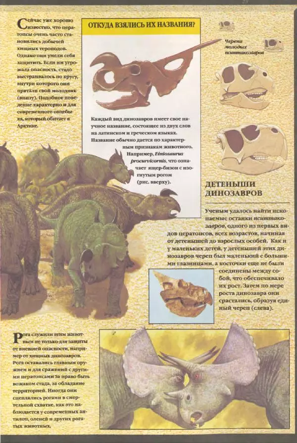 Дэвид Анвин - Динозавры - Страница № 25