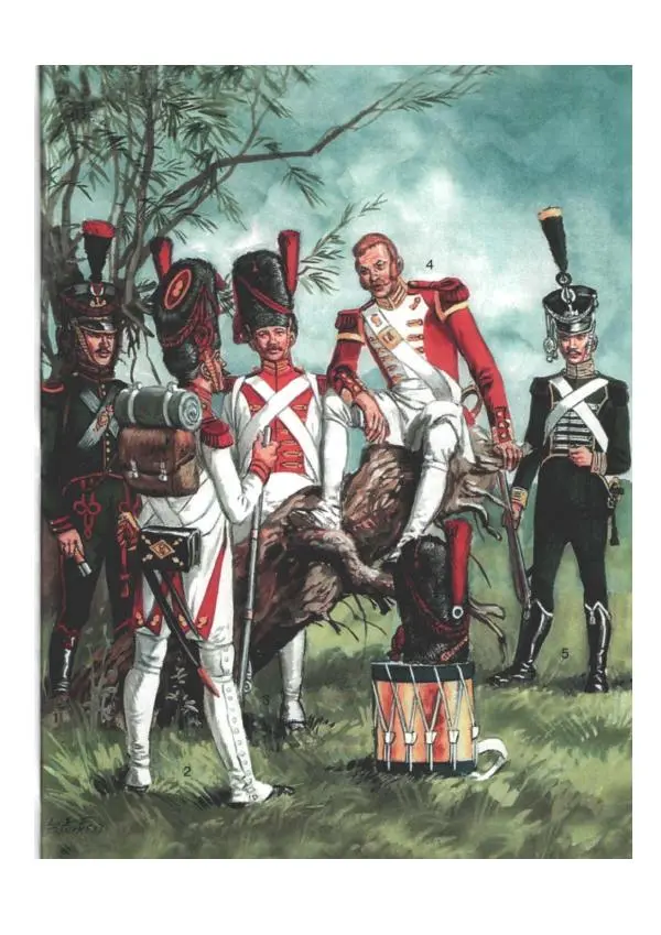 Лилиана Функен - Наполеоновские войны 1805-1815. Том 2 - Страница № 80