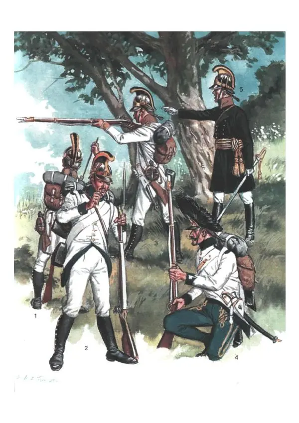 Лилиана Функен - Наполеоновские войны 1805-1815. Том 2 - Страница № 118