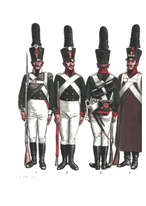 Лилиана Функен - Наполеоновские войны 1805-1815. Том 2 - Страница № 128