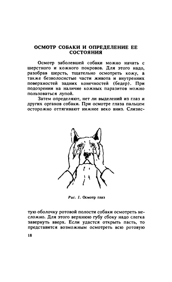 Анатолий Баранов - Здоровье вашей собаки - Страница № 19