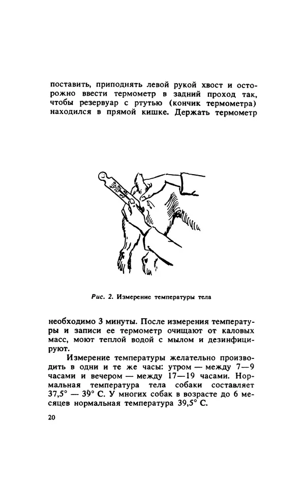 Анатолий Баранов - Здоровье вашей собаки - Страница № 21
