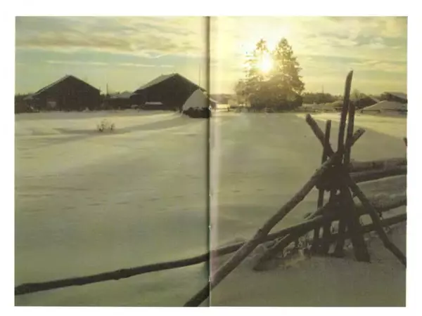 Василий Белов - Повседневная жизнь русского Севера - Страница № 135