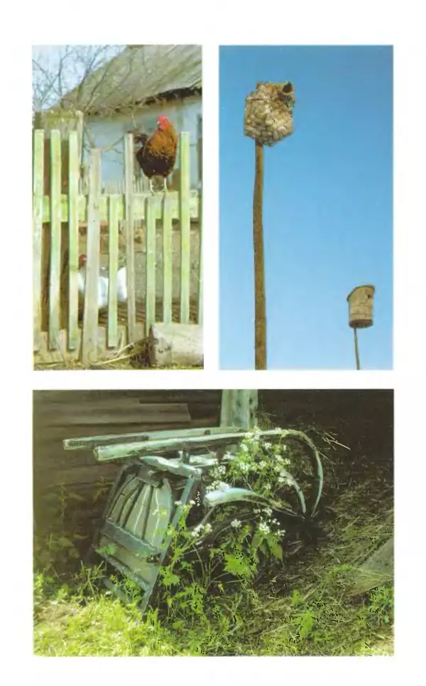 Василий Белов - Повседневная жизнь русского Севера - Страница № 140