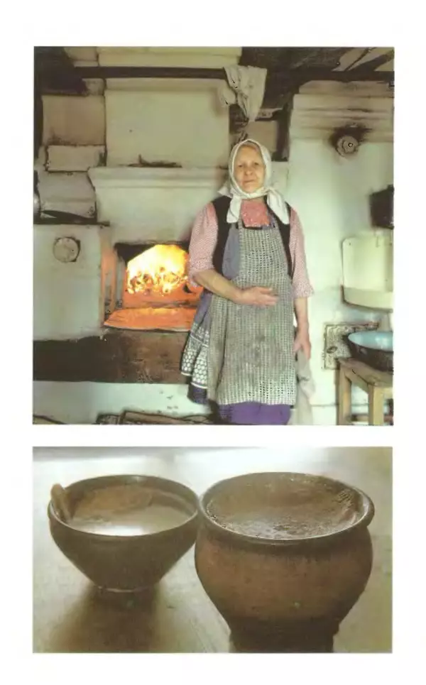 Василий Белов - Повседневная жизнь русского Севера - Страница № 141