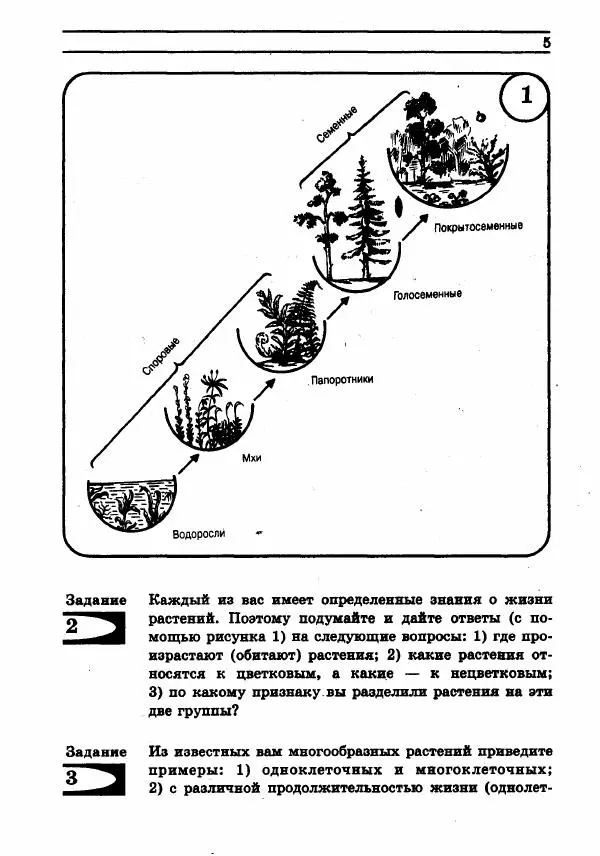 Дмитрий Трайтак - Сборник задач и упражнений по биологии растений, бактерий, грибов и лишайников. Пособие для учащихся 6-7 классов общеобразовательных учреждений - Страница № 4