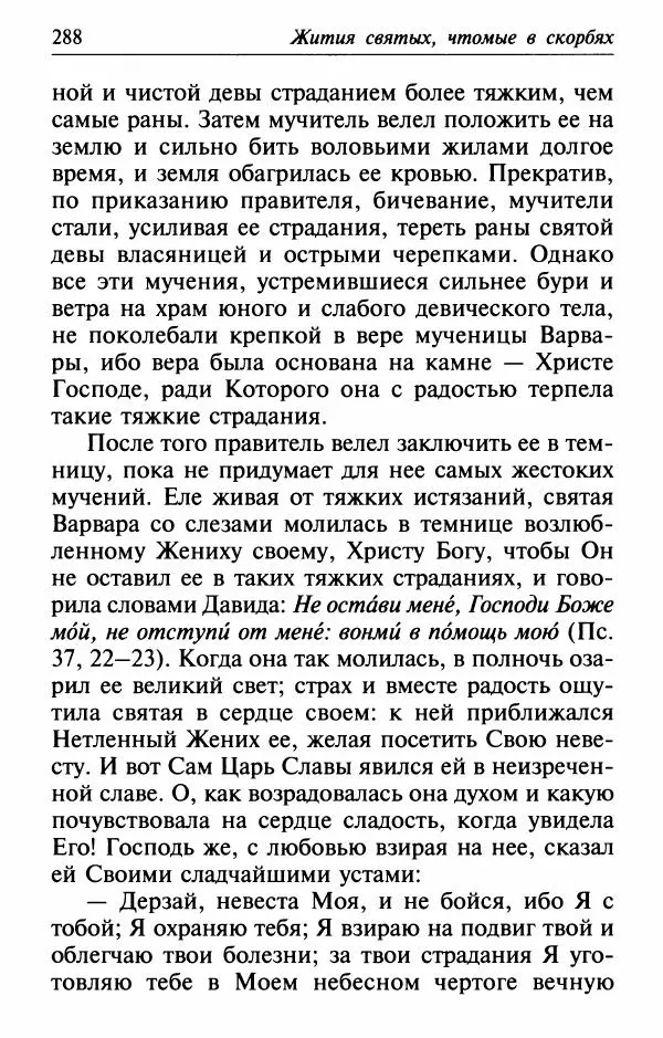  Сборник - Лекарство от скорби. Книга житий святых, молитв и утешений в скорбях, страданиях и болезнях - Страница № 289