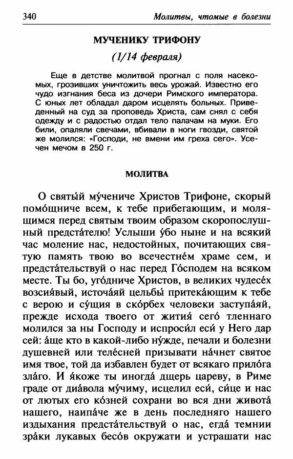  Сборник - Лекарство от скорби. Книга житий святых, молитв и утешений в скорбях, страданиях и болезнях - Страница № 341