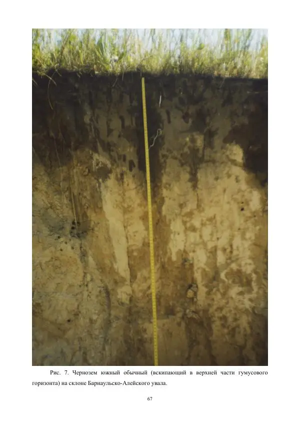 Дмитрий Черных - Пространственная организация ландшафтов бассейна реки Барнаулки - Страница № 68
