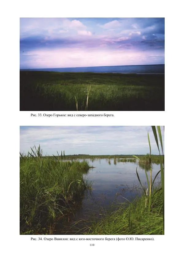 Дмитрий Черных - Пространственная организация ландшафтов бассейна реки Барнаулки - Страница № 111