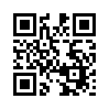 КулЛиб QR: Translit (fb2)