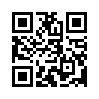 КулЛиб QR: Письма Фаусте (fb2)