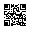 КулЛиб QR: Офицер и леди (fb2)