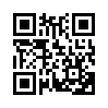 КулЛиб QR: Идентификация Буратино 2 (fb2)