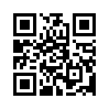 КулЛиб QR: Изящная светопись (fb2)
