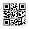 КулЛиб QR: Общество спектакля (fb2)