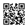 КулЛиб QR: Большая Гонка (fb2)