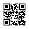 КулЛиб QR: Аран. Цена ошибки. (fb2)