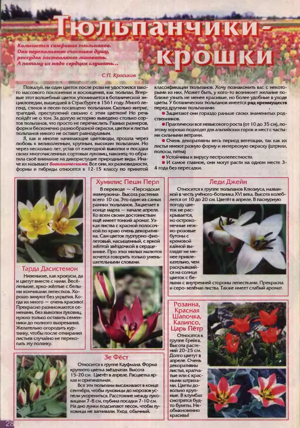 КулЛиб.   журнал Дом и сад для души - Дом и сад для души 2011 №03(39). Страница № 27