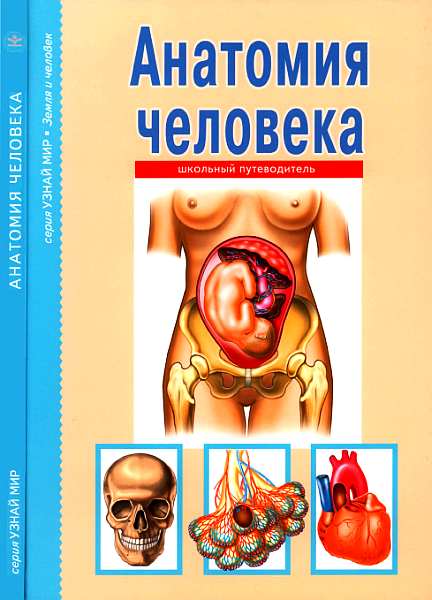 Анатомия человека (fb2)