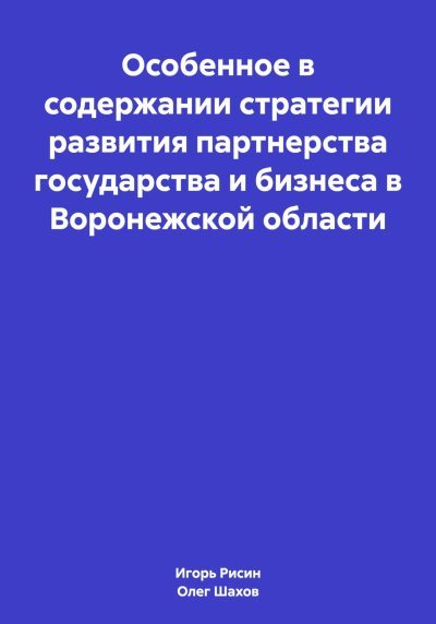 Особенное в содержании стратегии развития партнерства государства и бизнеса в Воронежской области (fb2)
