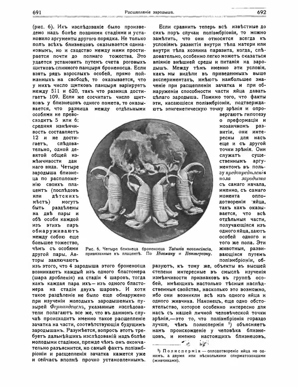 КулЛиб.   журнал Природа - Природа 1912 №05. Страница № 52