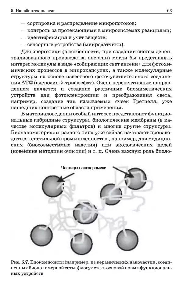 КулЛиб. Уве  Хартманн - Очарование нанотехнологии. 3-е изд. (электронное). Страница № 62