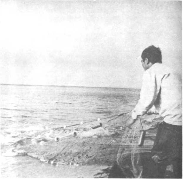 СССР: знакомый и неизведанный (сборник). Борис Крумов. Иллюстрация 79