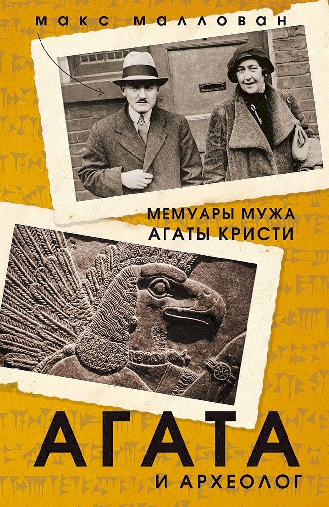 Агата и археолог (fb2)