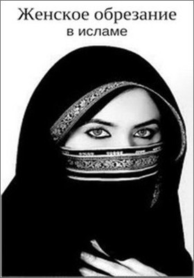 Женское обрезание в исламе (fb2)