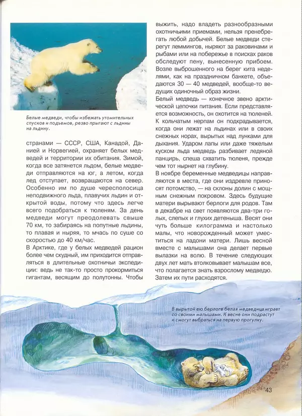 КулЛиб. Иоахим  Маллвиц - Арктика и Антарктика. Страница № 43