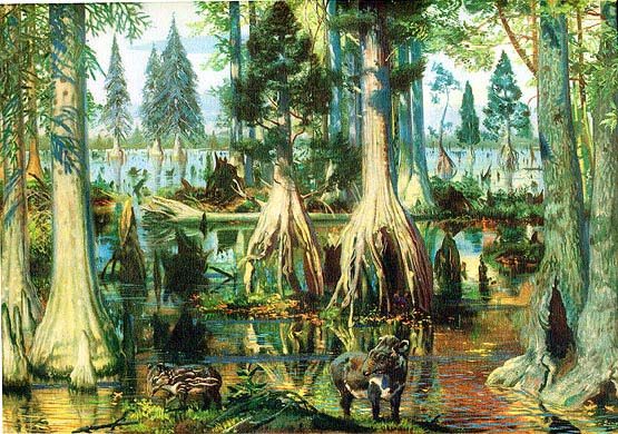 История Земли без Каменноугольного периода. Андрей Скляров. Иллюстрация 7