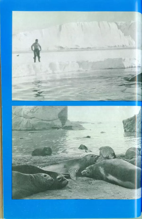 КулЛиб. Сергей Николаевич Рыбаков - Под водой в Антарктике. Страница № 141