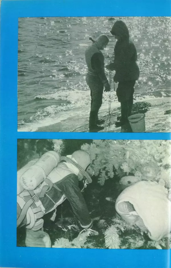 КулЛиб. Сергей Николаевич Рыбаков - Под водой в Антарктике. Страница № 168