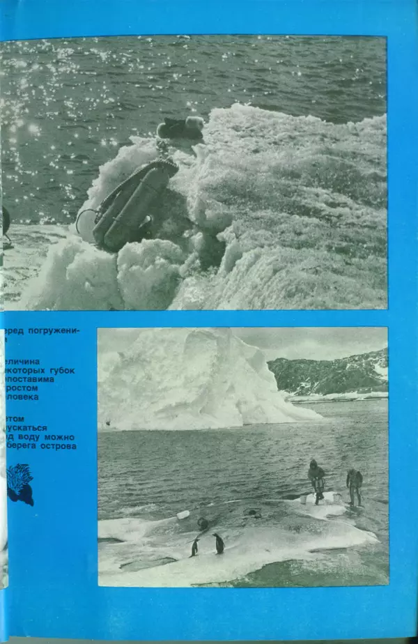 КулЛиб. Сергей Николаевич Рыбаков - Под водой в Антарктике. Страница № 169