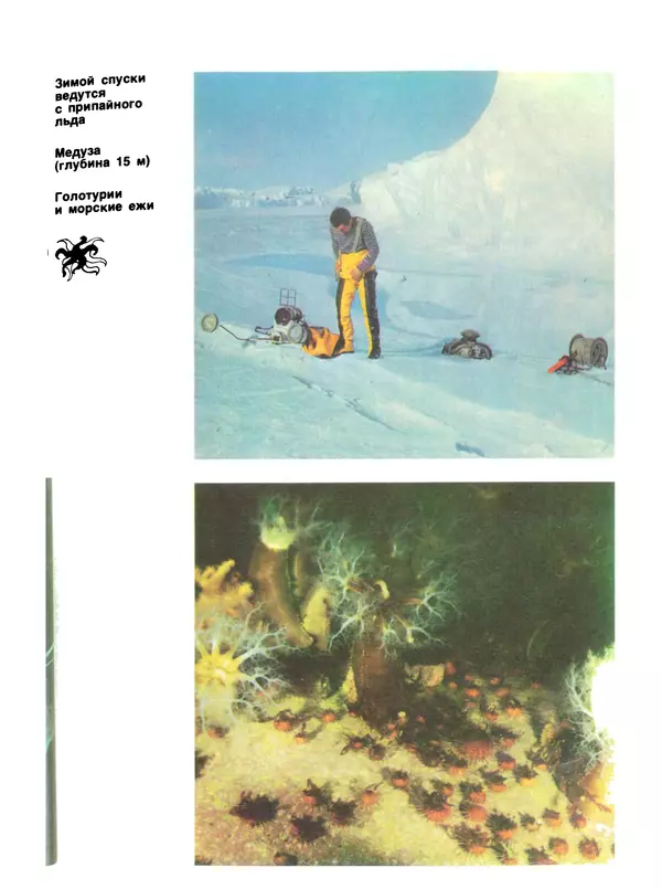 КулЛиб. Сергей Николаевич Рыбаков - Под водой в Антарктике. Страница № 171
