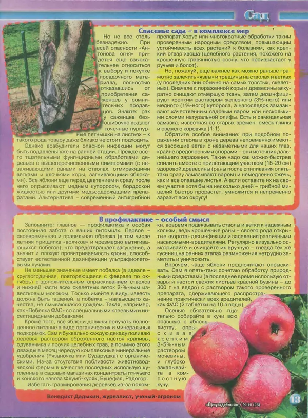 КулЛиб.   журнал Приусадебный - Приусадебный 2014 №10(28). Страница № 13