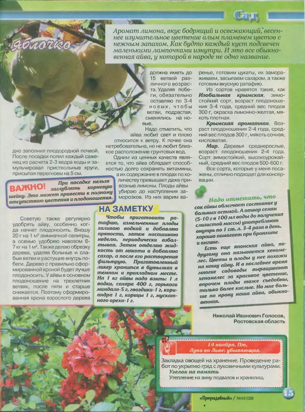КулЛиб.   журнал Приусадебный - Приусадебный 2014 №10(28). Страница № 15
