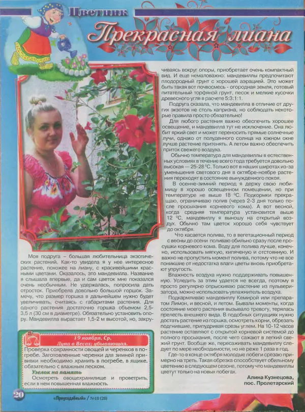 КулЛиб.   журнал Приусадебный - Приусадебный 2014 №10(28). Страница № 20